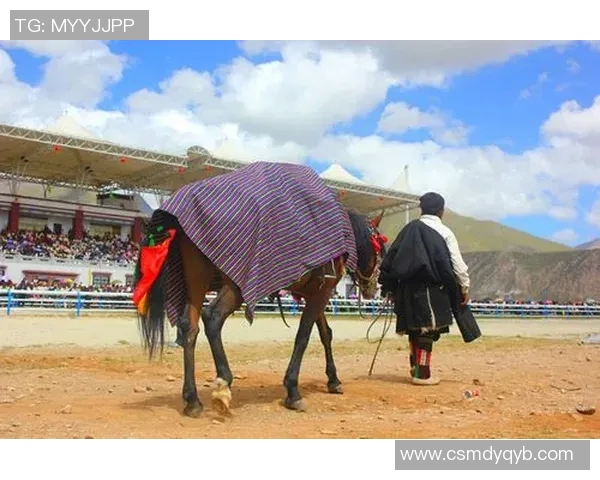 西安足球队的速度之谜：揭开他们在赛场上的神秘面纱